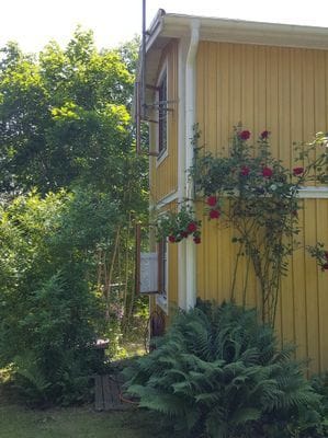 Mysig stuga vid skogens kant i bedårande Blekinge - Bild 4