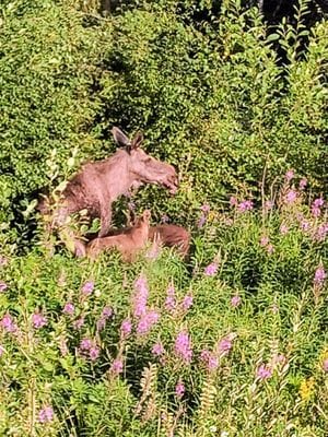 Mysigt hus i lugnt läge - Bild 16