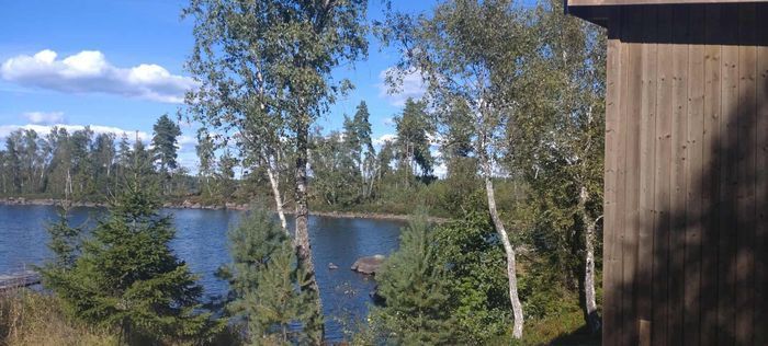 Friggebod vid sjö med bastu. Digital detox. - Bild 11