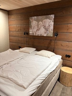 Fjällhjärta i Tänndalen - Bild 14